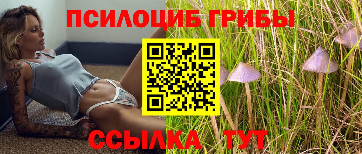 Галлюциногенные грибы мицелий Белебей